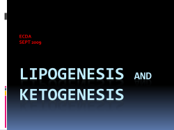 Lipogenesis and Ketogenesis