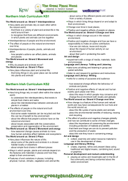 Northern Irish Curriculum