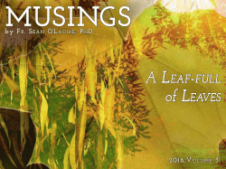 A Leaf-fuLL of Leaves - Spirits in Spacesuits