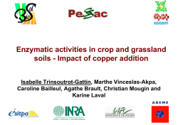 Enzymatic activities in crop and grassland soils - Impact of