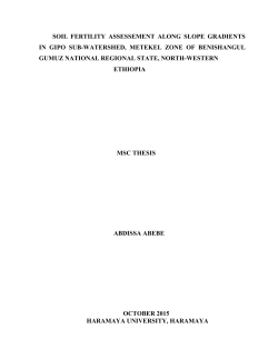 Abdissa Abebe Thesis