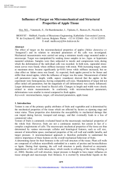 Influence of Turgor on Micromechanical and Structural Properties of