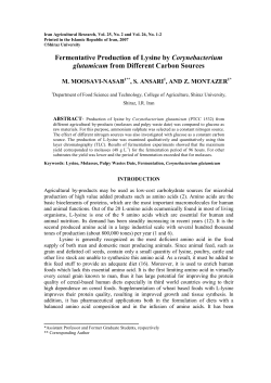 Fermentative Production of Lysine by Corynebacterium glutamicum