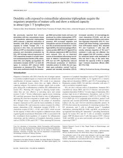 Dendritic cells exposed to extracellular adenosine