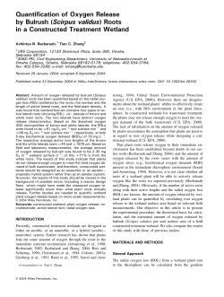 Quantification of oxygen release by bulrush