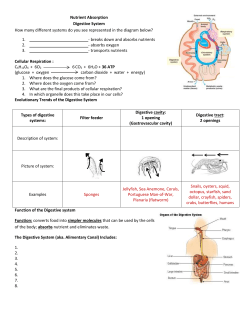 Nutrient Absorption Notes combined