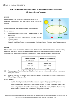 Level 2 Biology - No Brain Too Small