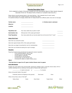 Parsnip - Seeds of Diversity!