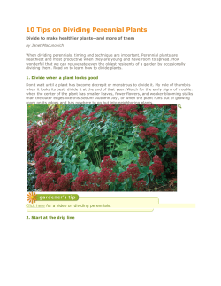 10 Tips on Dividing Perennial Plants