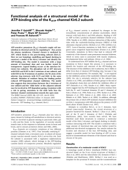 Functional analysis of a structural model of the ATPbinding site of