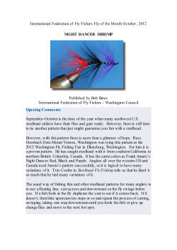 2012 10 October Night Dancer Shrimp