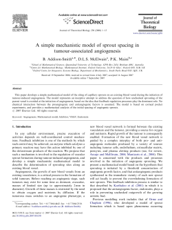 A simple mechanistic model of sprout spacing in tumour