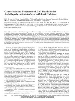 Ozone-Induced Programmed Cell Death in the