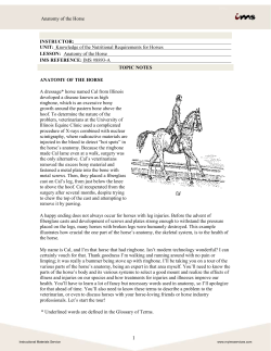 Anatomy of the Horse INSTRUCTOR: UNIT: Knowledge of the