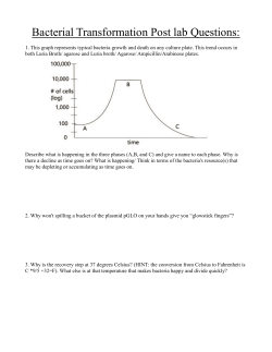 Bacterial Transformation Post lab Questions: