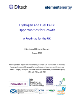 Hydrogen and Fuel Cells: Opportunities for Growth