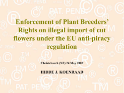 Anti-Piracy CASE STUDY