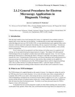 2.1.2 General Procedures for Electron Microscopy Applications in