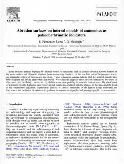 Abrasion surfaces on inner moulds of ammonites as