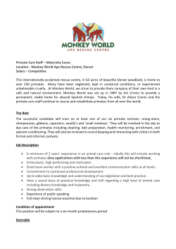 Team Leader: Gibbons