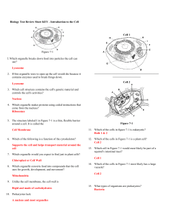 Biology Test Review Sheet KEY - Introduction to the Cell Figure 7