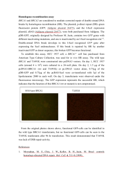 Supplementary Information (doc 2908K)