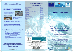 CARBOCHANGE flyer 2013