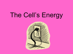 The Cell*s Energy