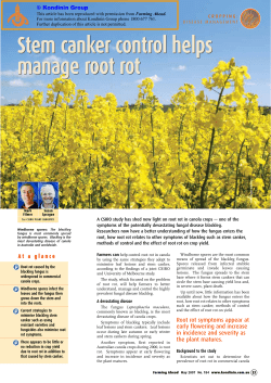 Stem canker control helps manage root rot Stem