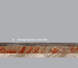 8. Storage options with EOr