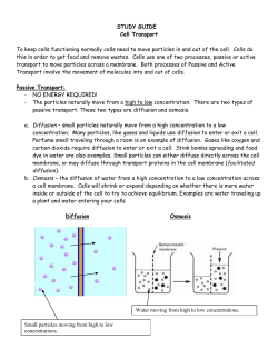 Study Guide for Cell Transport Quiz