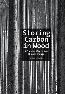 Storing Carbon in Wood