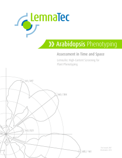 Arabidopsis phenotyping
