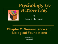 Biopsychology, Neuroscience, Physiological Psychology: