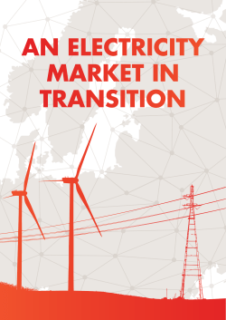 an electricity market in transition