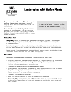 Landscaping with Native Plants