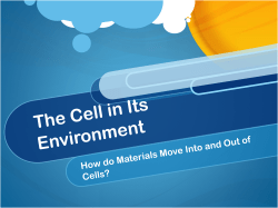The Cell in Its Environment