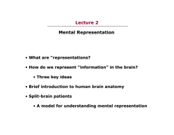 Lecture 2 Mental Representation