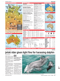 Jetski rider given light fine for harassing dolphin