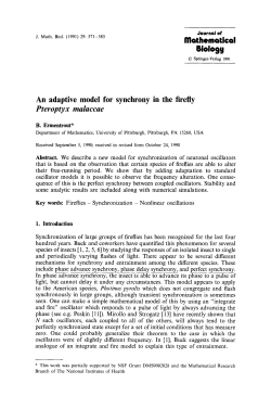 An adaptive model for synchrony in the firefly