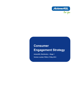 Consumer Engagement Strategy