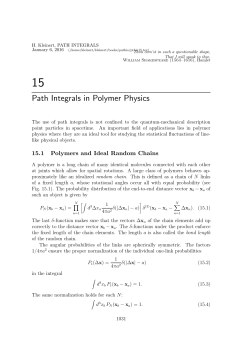 Path Integrals in Polymer Physics