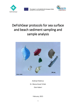 DeFishGear protocols for sea surface and beach sediment sampling