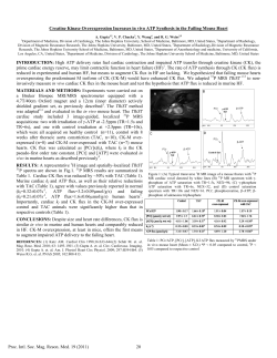 Creatine Kinase Overexpression Increases in vivo ATP Synthesis in