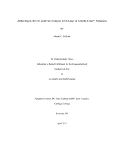 Marie Pichler final - Dspace@Carthage