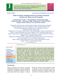 Inside the Plants: Endophytic Bacteria and their Functional
