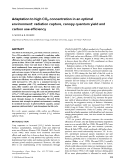Adaptation to high CO2 concentration in an optimal environment