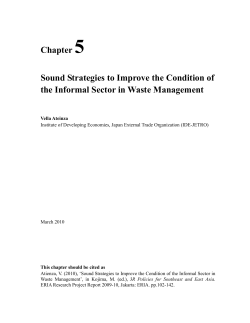 Chapter 5 Sound Strategies to Improve the Condition of the Informal