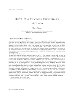 Bis2A 07.4 Pentose Phosphate Pathway