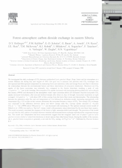 Forest-atmosphere carbon dioxide exchange in eastern Siberia